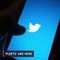 Twitter launches vanishing post feature Fleets