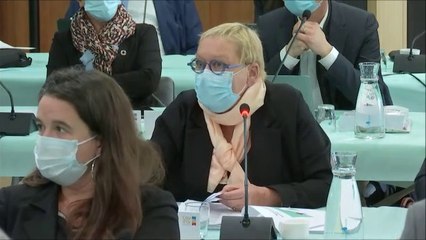 Colette POPARD. Egalité professionnelle femmes et hommes. Session du 17 novembre 2020