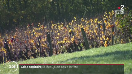 Vin : le Beaujolais également victime du Covid-19
