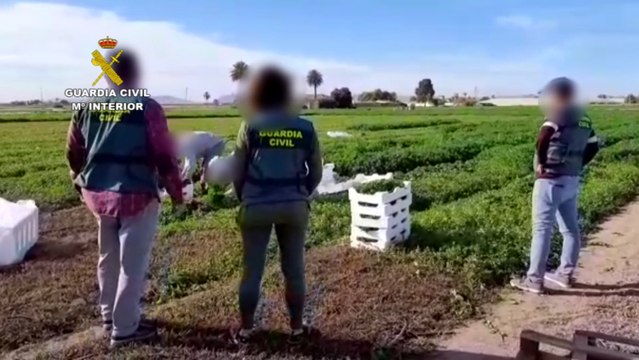 Detenidas nueve personas por delitos contra los derechos de los trabajadores