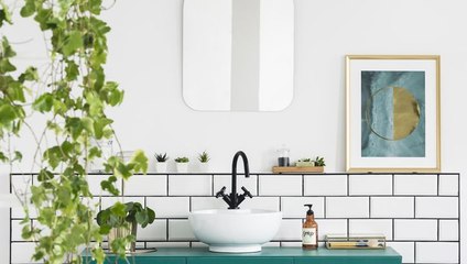 How To Choose Plants For Your Bathroom