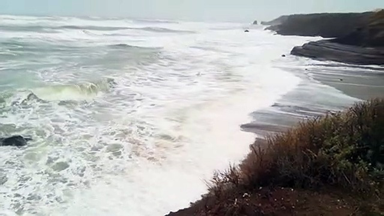 2020-Gloria au Cap d'Agde