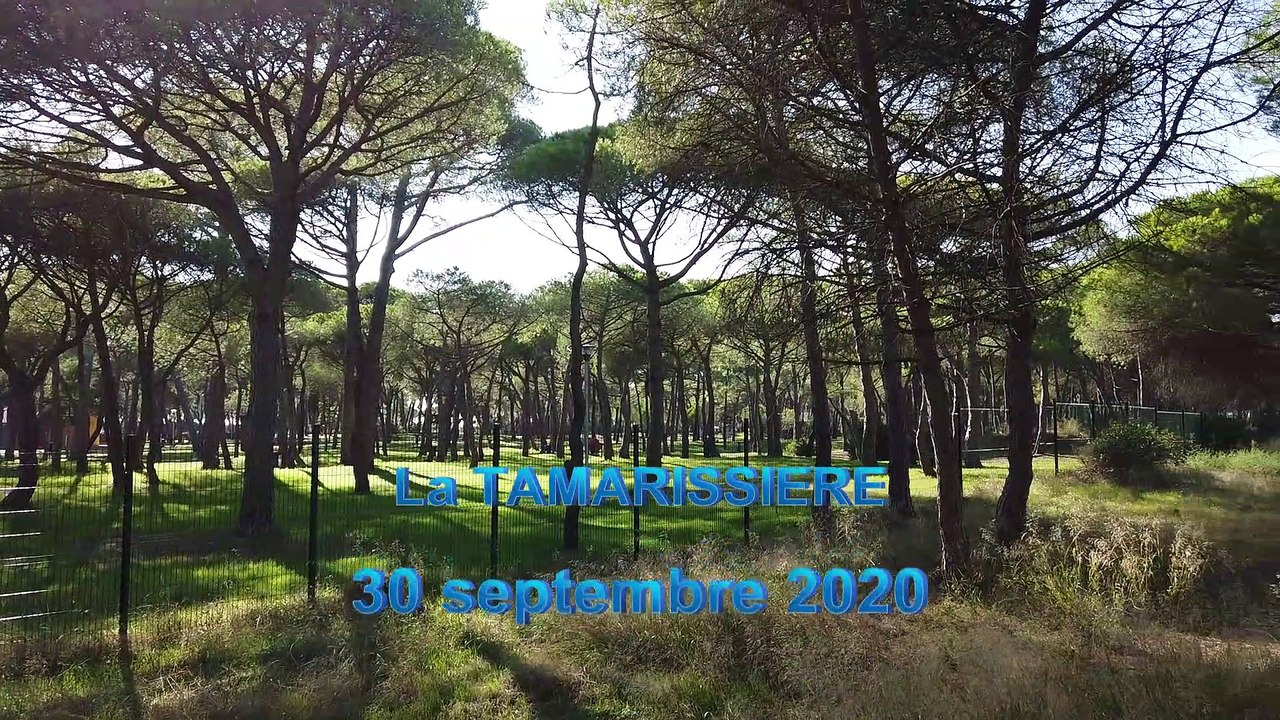 2020-La tamarissière