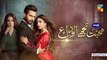 Mohabbat Tujhe Alvida  Episode 24 Promo  HUM TV Drama