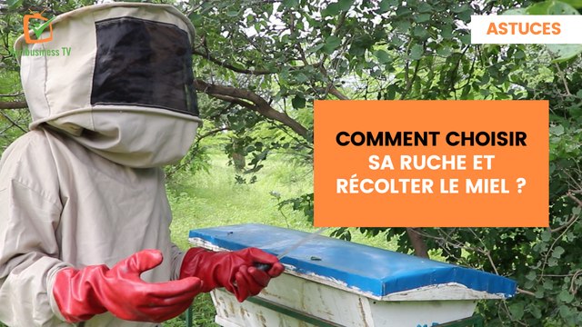 Astuces: Comment choisir sa ruche et récolter le miel ?