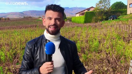 Beaujolais Nouveau: Μία διαφορετική χρονιά για το διάσημο κρασί