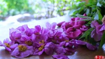 Cueillir des fleurs en fleurs pour faire de la rosée aromatique