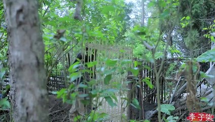 Comment faire une sauce au jaune d'oeuf de canard salé (Mayonnaise Chinoise)