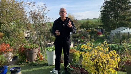 Roland Motte, jardinier : rempotez vos plantes, c'est capital pour leur développement