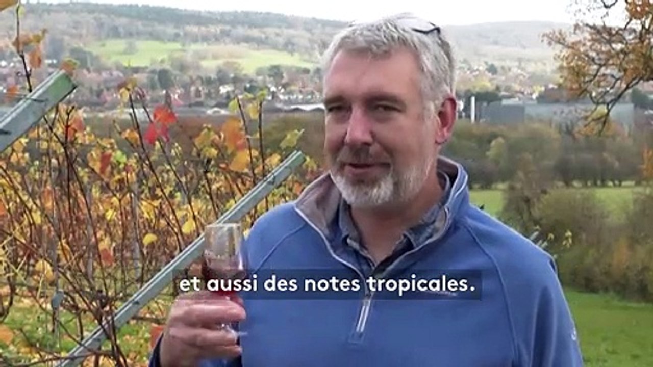 Vin : comme le Beaujolais nouveau, l'English nouveau arrive en Angleterre