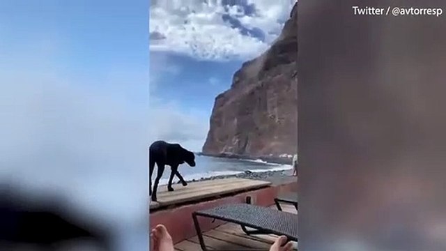 Une falaise entière s’effondre à côté des touristes sur l’île de la Gomera