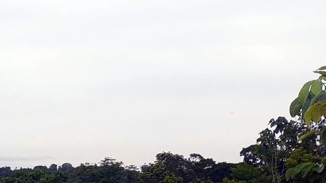 Boeing 737-800 PR-GUT na aproximação final antes de pousar em Manaus vindo de Guarulhos