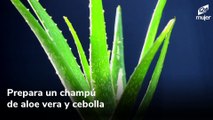 Champú de aloe vera y cebolla para un cabello más largo y fuerte