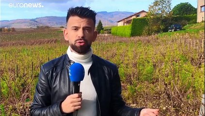 Le Beaujolais nouveau est arrivé mais avec la pandémie, les difficultés aussi