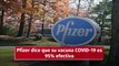 Pfizer dice que su vacuna contra el Covid-19 es 95% efectiva