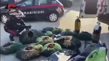 Da Catania ad Agrigento per scaricare ricci di mare denunciati pescatori di frodo (18.11.20)