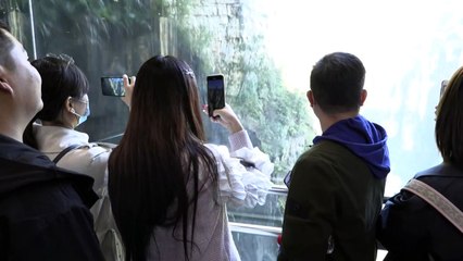 Así es el ascensor exterior más alto del mundo