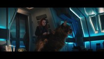 STAR TREK DISCOVERY episode 306 Scavengers - clip - Tilly Has a Close Encounter With Grudge the Cat