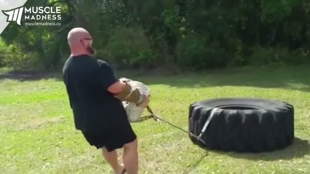 Craziet Powerlifting - Bud Jeffries - Mr.Perfect