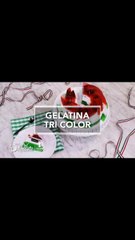 Gelatina tri color | Cocina Delirante