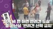 [15초 뉴스] 반려견 산책 세 번 걸리면 '도살'...논란 휩싸인 中 윈난성 정책  / YTN