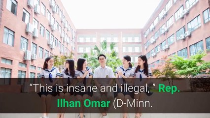 Democrats bash Lindsey Graham over claims he pressured Georgia to discard