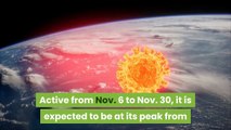 Leonids Meteor Shower 2020 Watch It Peak in Night Skies