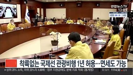 착륙없는 국제선 관광비행 1년 허용…면세도 가능