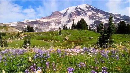 La melodía más hermosa del mundo para el Alma! ¡Escuchen! ¡Flauta mágica! Relax