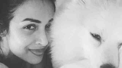 Malaika Arora दिखी अपने डॉग Casper के साथ; शेयर की ये Instagram story | FilmiBeat