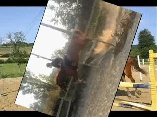 Cso  obstacles