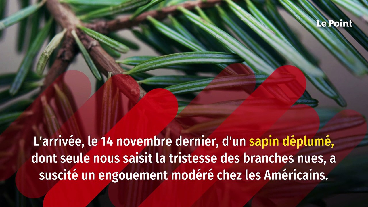 New York : le triste sapin de Noël du Rockefeller Center