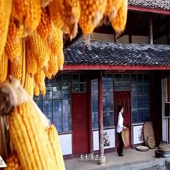 Amazing Chinese Food Cooking Skill