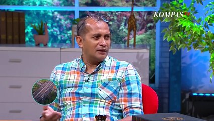 Melek Hukum - Beda Tipiring dan Pelanggaran