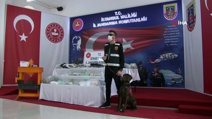 “King” lakaplı organize uyuşturucu çetesi çökertildi