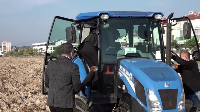 Şehrin göbeğine buğday tarlası