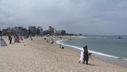 "많이 와도, 안 와도 걱정"...관광객 잇단 확진에 '난감' / YTN