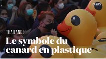 Le canard en plastique, symbole des manifestations pro-démocraties en Thaïlande