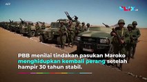 Gurun Sahara Memanas! Pasukan Maroko Berulah di Perbatasan