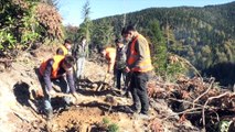 GİRESUN - Karadeniz ormanlarının geleceğe nefes olması için emek veriyorlar