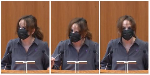 Una diputada castellano-leonesa del PSOE sigue la línea de Sánchez con un indigno blanqueamiento de Bildu
