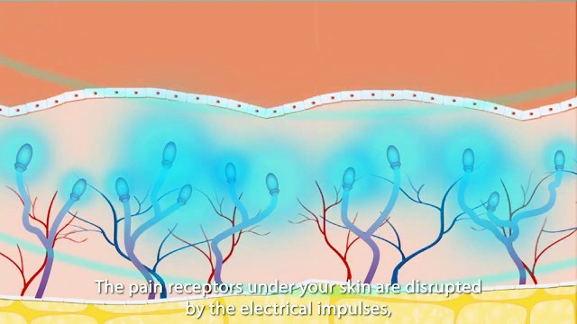 Omron Electronic Pulse Massager HV-F013