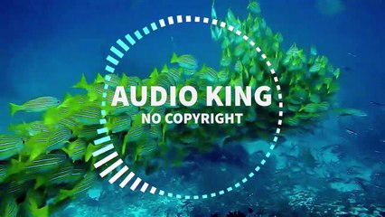 Patrick Patrikios - Ocean View (3D Remix) |Audio King|
