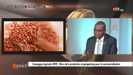 Le kilogramme d’arachide sera acheté au producteur à 250 francs Cfa( Pr Moussa Baldé, ministre de l'agriculture)