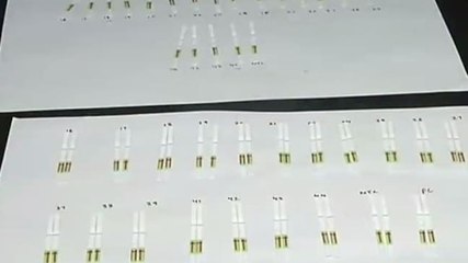 Decoded: How Feluda paper-strip test kit for Covid-19 works
