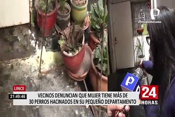 Maltrato animal: perros en aparente estado de abandono sufren al interior de una vivienda