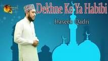 Dekhne Ko Ya Habibi | HD Video | Naat | Haseeb Qadri | Naat