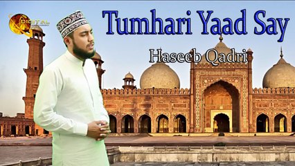 Tumhari Yaad Say | HD Video | Naat | Haseeb Qadri | Naat