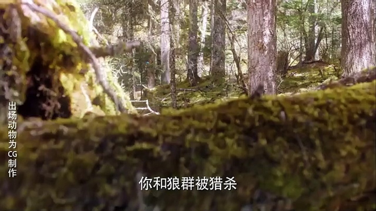 狼殿下 01 影片dailymotion