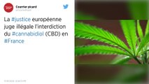 Cannabis : la justice européenne ouvre la voie au CBD en France